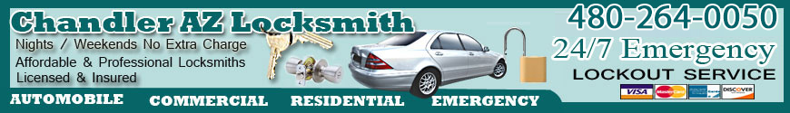 Professional Emergency Locksmiths 